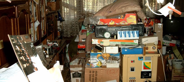 Hoarding Cleanup
