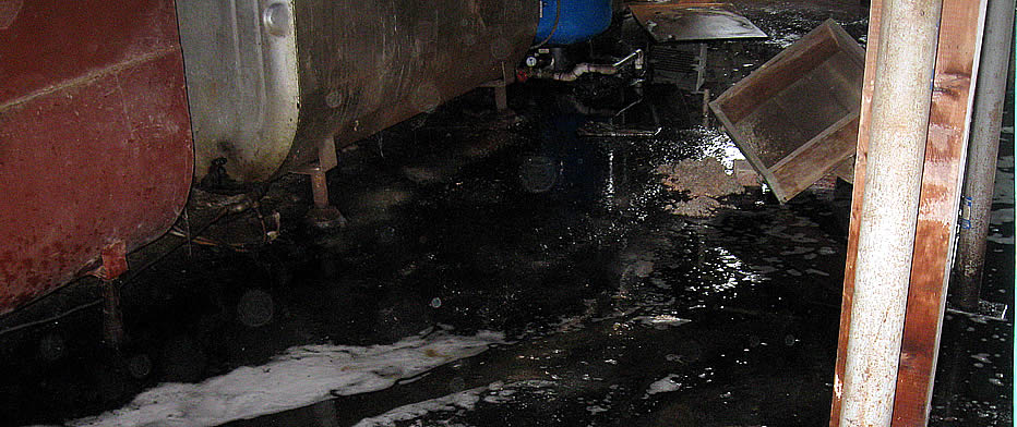 Sewage Cleanup